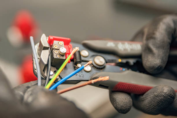 Best Electric Panel Repair  in Bluff City, TN